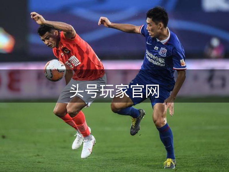 网站概况